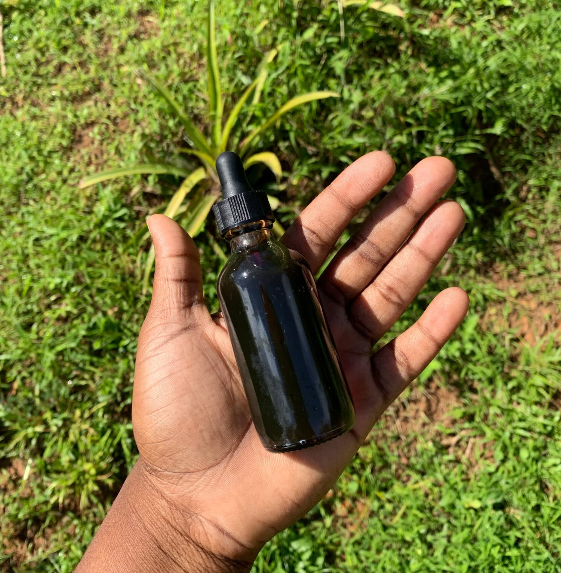 Jamaican Black Castor Oil