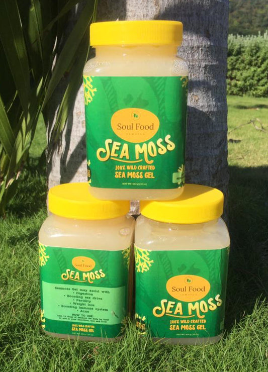 100% Gold Wildcrafted Sea Moss Gel